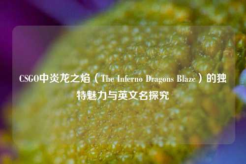 CSGO中炎龙之焰(The Inferno Dragons Blaze)的独特魅力与英文名探究