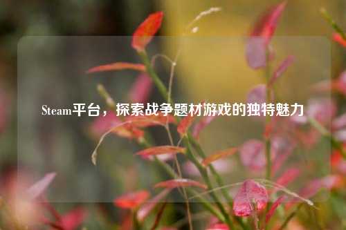 Steam平台，探索战争题材游戏的独特魅力