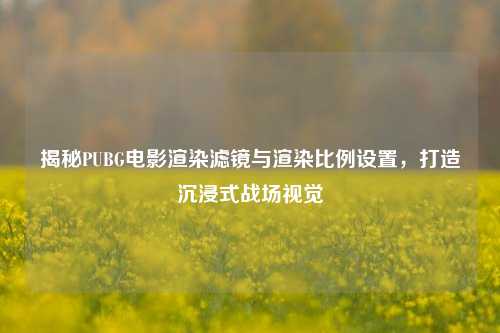 揭秘PUBG电影渲染滤镜与渲染比例设置,打造沉浸式战场视觉