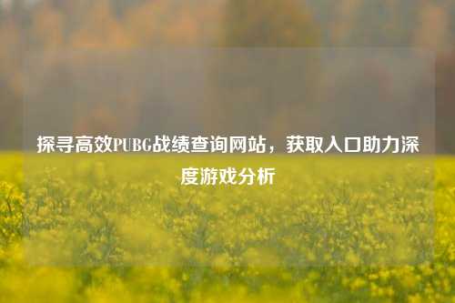 探寻高效PUBG战绩查询网站,获取入口助力深度游戏分析