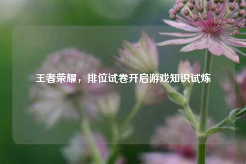 王者荣耀,排位试卷开启游戏知识试炼