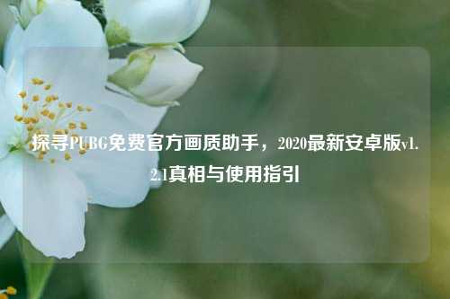 探寻PUBG免费官方画质助手,2020最新安卓版v1.2.1真相与使用指引