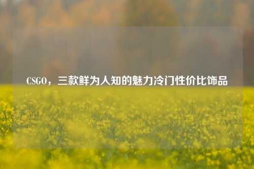 CSGO,三款鲜为人知的魅力冷门性价比饰品