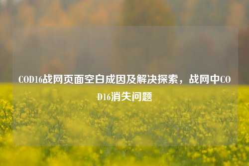 COD16战网页面空白成因及解决探索,战网中COD16消失问题