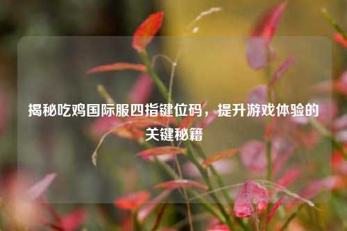 揭秘吃鸡国际服四指键位码,提升游戏体验的关键秘籍