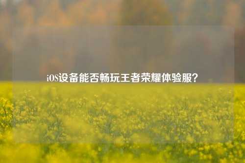 iOS设备能否畅玩王者荣耀体验服?
