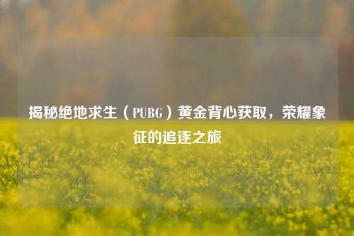 揭秘绝地求生(PUBG)黄金背心获取,荣耀象征的追逐之旅