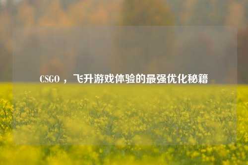 CSGO ,飞升游戏体验的最强优化秘籍