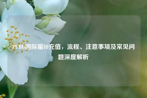 PUBG国际服ID充值,流程、注意事项及常见问题深度解析