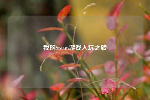 我的Steam游戏入坑之旅