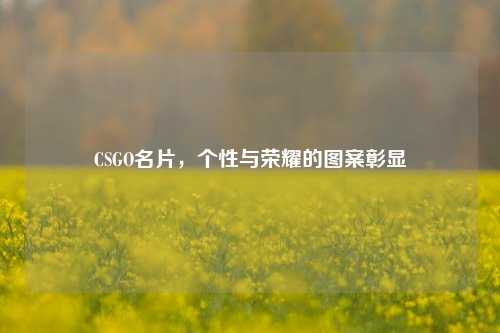 CSGO名片,个性与荣耀的图案彰显
