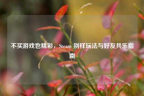 不买游戏也精彩,Steam 别样玩法与好友共乐指南
