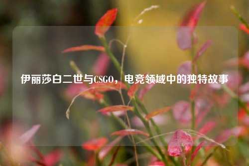 伊丽莎白二世与CSGO，电竞领域中的独特故事