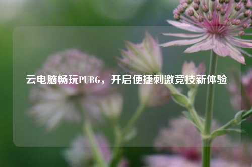 云电脑畅玩PUBG，开启便捷刺激竞技新体验