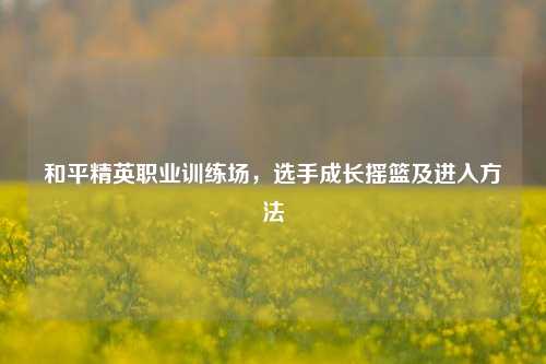 和平精英职业训练场,选手成长摇篮及进入方法