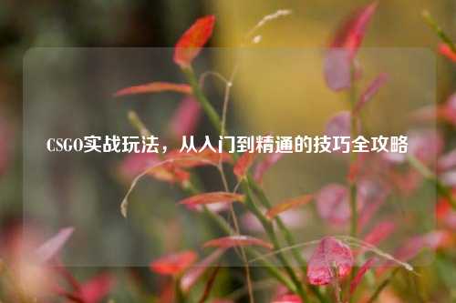 CSGO实战玩法,从入门到精通的技巧全攻略