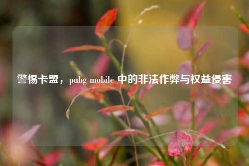 警惕卡盟，pubg mobile 中的非法作弊与权益侵害