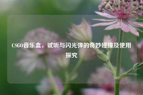 CSGO音乐盒,试听与闪光弹的奇妙碰撞及使用探究