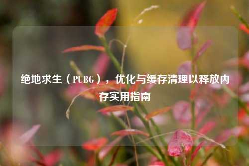 绝地求生（PUBG），优化与缓存清理以释放内存实用指南