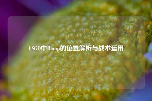 CSGO中Ramp的位置解析与战术运用