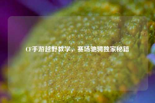 CF手游越野教学,赛场驰骋独家秘籍