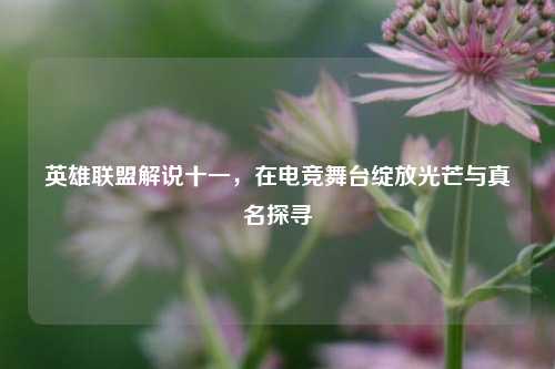 英雄联盟解说十一,在电竞舞台绽放光芒与真名探寻