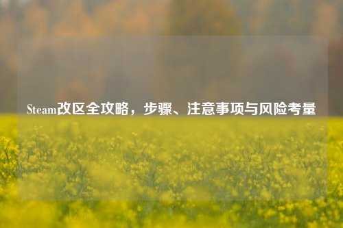 Steam改区全攻略，步骤、注意事项与风险考量