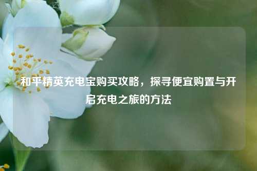 和平精英充电宝购买攻略,探寻便宜购置与开启充电之旅的方法