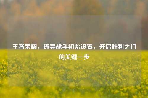 王者荣耀,探寻战斗初始设置,开启胜利之门的关键一步