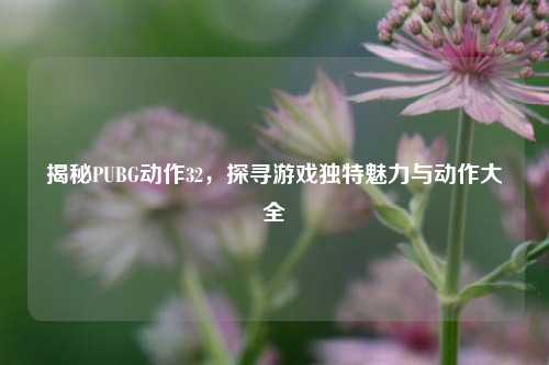 揭秘PUBG动作32,探寻游戏独特魅力与动作大全