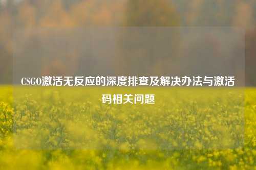 CSGO激活无反应的深度排查及解决办法与激活码相关问题