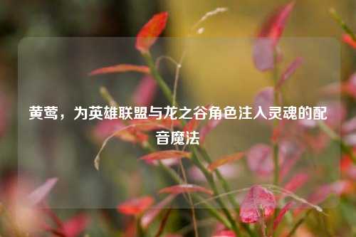 黄莺，为英雄联盟与龙之谷角色注入灵魂的配音魔法