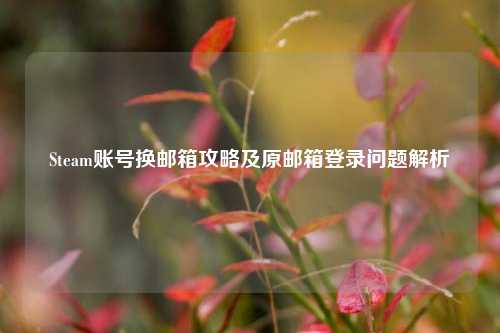 Steam账号换邮箱攻略及原邮箱登录问题解析