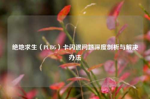 绝地求生(PUBG)卡闪退问题深度剖析与解决办法