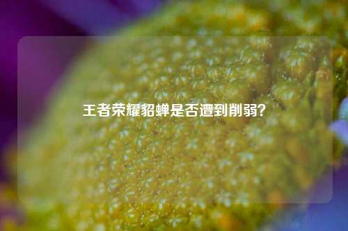 王者荣耀貂蝉是否遭到削弱？