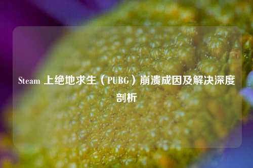 Steam 上绝地求生(PUBG)崩溃成因及解决深度剖析