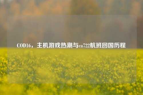 COD16，主机游戏热潮与ca722航班回国历程