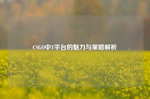 CSGO中T平台的魅力与策略解析