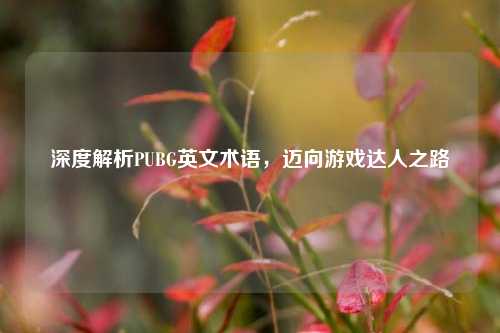 深度解析PUBG英文术语，迈向游戏达人之路