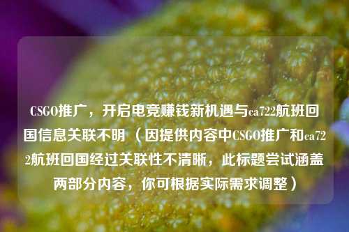 CSGO推广,开启电竞赚钱新机遇与ca722航班回国信息关联不明 (因提供内容中CSGO推广和ca722航班回国经过关联性不清晰,此标题尝试涵盖两部分内容,你可根据实际需求调整)