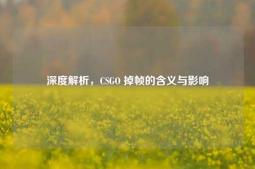 深度解析，CSGO 掉帧的含义与影响