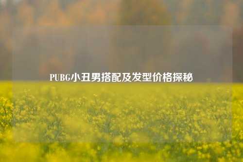 PUBG小丑男搭配及发型价格探秘