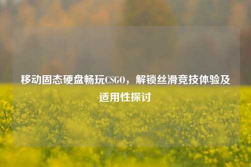 移动固态硬盘畅玩CSGO，解锁丝滑竞技体验及适用性探讨