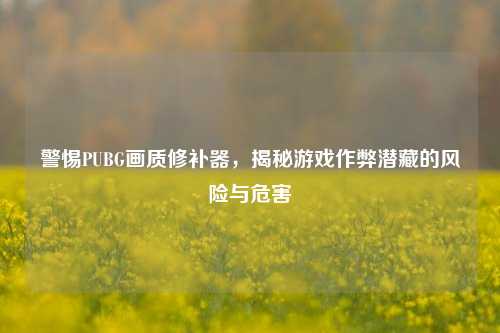 警惕PUBG画质修补器，揭秘游戏作弊潜藏的风险与危害
