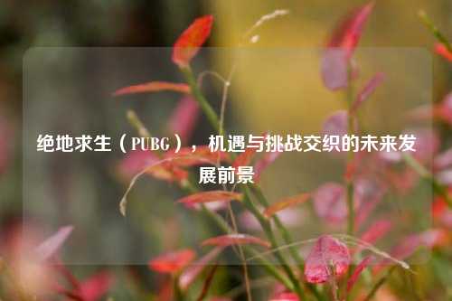 绝地求生(PUBG),机遇与挑战交织的未来发展前景