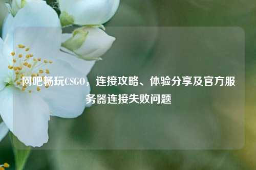 网吧畅玩CSGO，连接攻略、体验分享及官方服务器连接失败问题