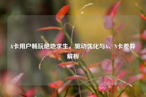 A卡用户畅玩绝地求生,驱动优化与A、N卡差异解析