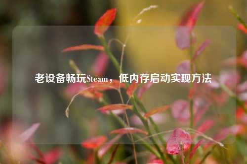 老设备畅玩Steam,低内存启动实现方法