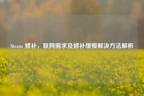 Steam 修补，联网需求及修补缓慢解决方法解析