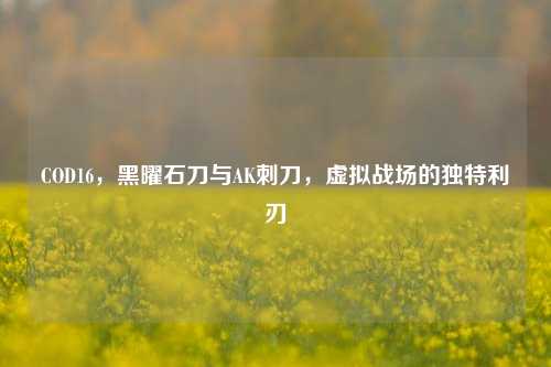 COD16，黑曜石刀与AK刺刀，虚拟战场的独特利刃